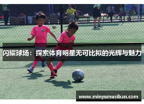 闪耀球场：探索体育明星无可比拟的光辉与魅力