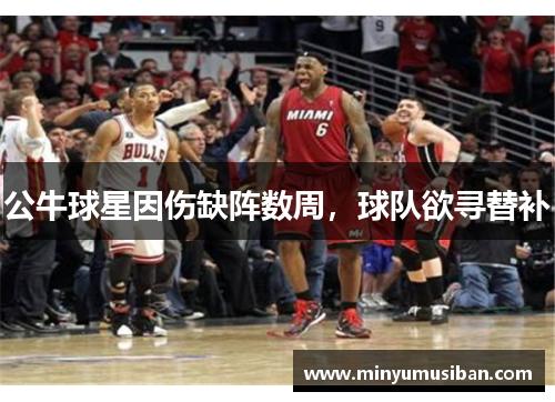 公牛球星因伤缺阵数周，球队欲寻替补